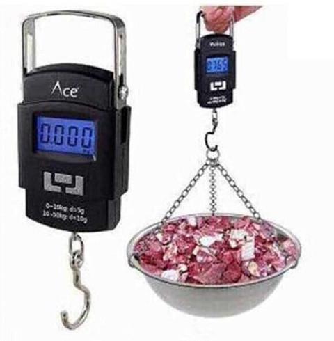 Nubex 10g-50Kg Digital Hanging Luggage Fishing Portable Weight