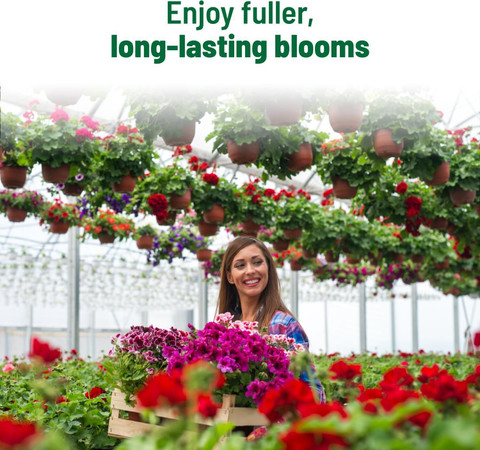 FARM BUDDY FLORA BOOM Liquid Flower Booster - Special for All