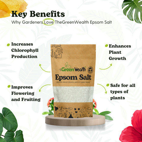 TheGreenWealth Epsom Salt for Plants | Magnesium Sulfate for Plants |  Natural Plant Supplement Fertilizer, Manure, Potting Mixture, Soil Price in  India - Buy TheGreenWealth Epsom Salt for Plants | Magnesium Sulfate