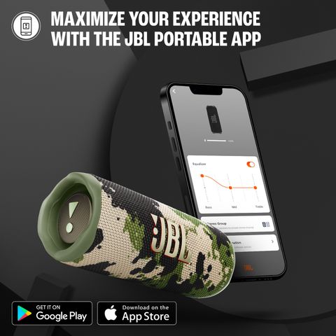 Buy JBL Flip 6 with 12Hr Playtime, Customize Audio by App,IP67