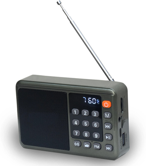 Audio Usb Speaker With Fm Radio Ivon FM Radio With Wireless Bluetooth Speaker USB TF Card  Rechargeable Portable Speaker