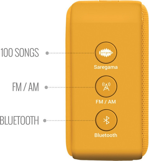 Buy SAREGAMA Carvaan Mini Gurbani W Bluetooth Speaker Online