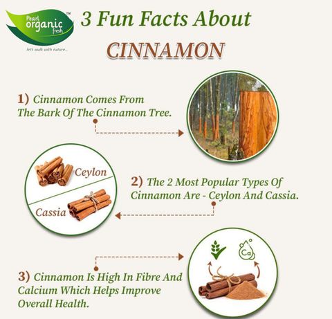 Pearl Organic Fresh CINNAMON POWDER/DALCHINI POWDER Price in India ...