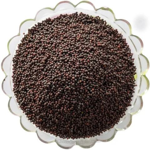 Barik Rai Moti Rai SS520 Rai Small 100g. Whole Mustard Tadhka Seed Sarson Beej Barik Lal ...