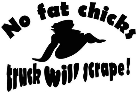 G35 No Fat Chicks, Car Will Scrape Bumper Sticker