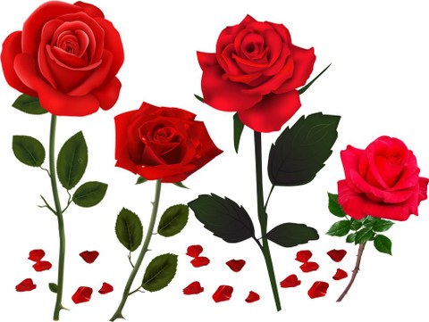 god god's 27 cm Beautiful ROSE Flowers Self Adhesive Sticker