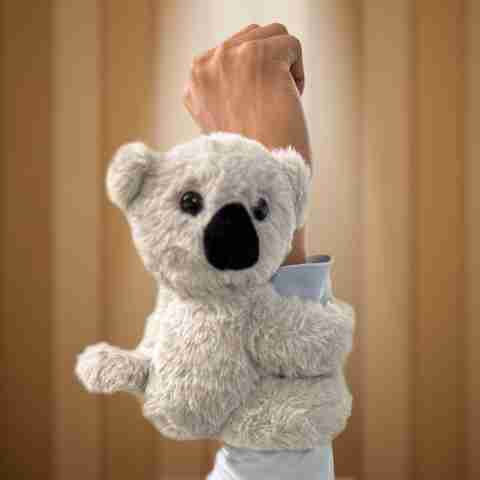 TOYANDONA Bracelet à Claquer Animal Bracelet Écureuil Peluche Cadeau De Fête Anniversaire Pour Garçon Fille TOYANDONA Bracelet à Claquer Animal Bracelet Écureuil Peluche Cadeau De Fête Anniversaire Pour Garçon Fille
