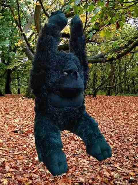 prezzie PrezzieGift Black Stuffed Soft Toy Cute Chimpanzee Gorilla