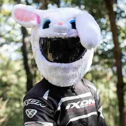 V VANTRA Motorcycle Helmet Cover Fancy – White Bunny Rabbit 35 - Main Image