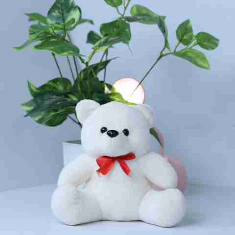DECRONICS Teddy Bear Plush Soft Toy Cute For Girlfriend Birthday