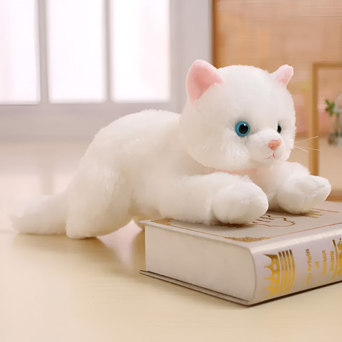 cat toys for kids