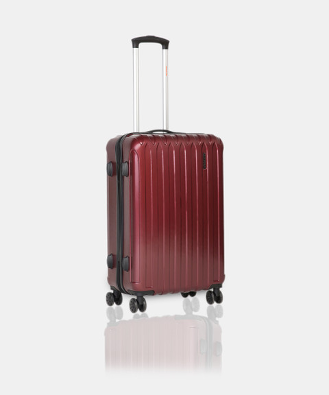 尺八ケース ワインレッド　18 多数本 Wildcraft Pegasi Cabin Suitcase 8 Wheels - 24 inch Burgandy