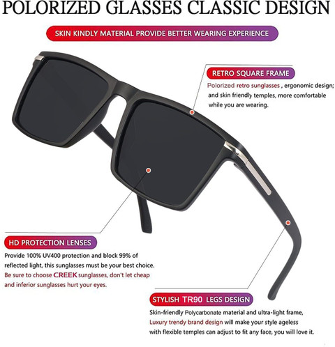 Sunveil Wayfarer Sunglasses