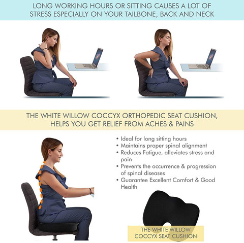 The White Willow Coccyx Orthopedic Seat Cushion for Relief from Hip  Pain,Pelvic Pressure, Back Pain Back Lumbar Support
