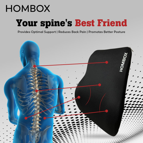 HOMBOX Large Backrest for Chair Car Seat, Orthopedic Memory Foam