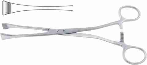REVITI Green armitage forceps surgical instrument 8 inch - 20 cm Tissue ...