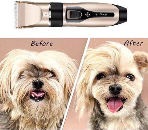 Tzu Puppy Cut Best Dog Clipper For Shih Tzu Shih Tzu Matted Dog