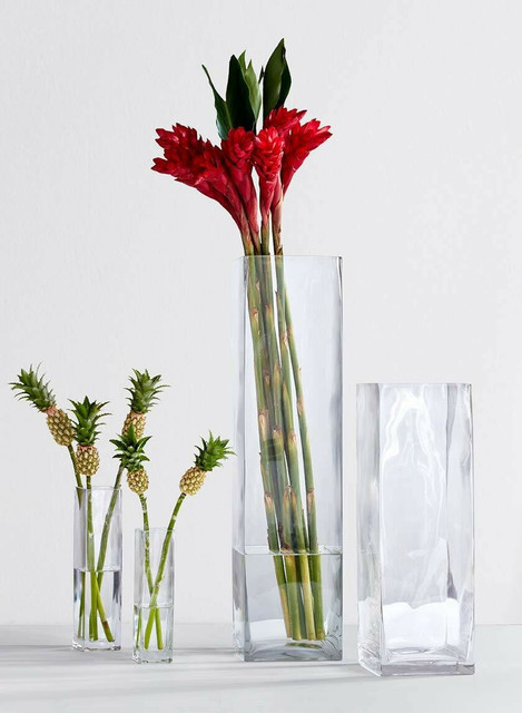 DESHILP OVERSEAS Glass Flower Vase (8 x x inch, Clear) Glass