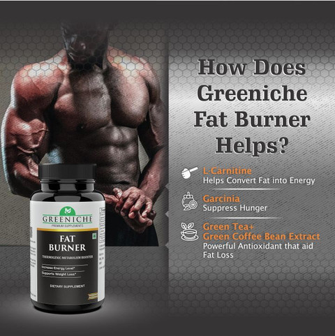 l carnitina libido l carnitina efeitos no organismo Benefícios da L-Carnitina