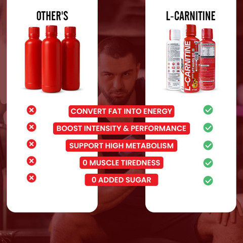 AMERICAN FIT LABS L-Carnitine with Vitamin B5 3500mg , 30 Servings, Mix  Fruit Flavour Price in India