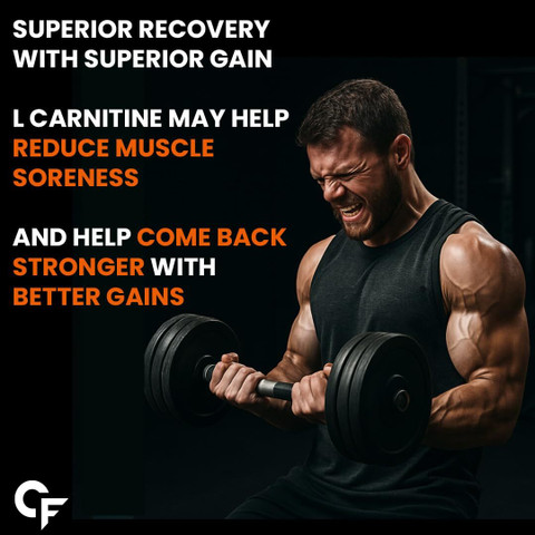 l carnitine l tartrate benefits bodybuilding L-Carnitine L-Tartrate Powder (LCLT) MuscleBlaze L-Carnitine L-Tartrate Capsules