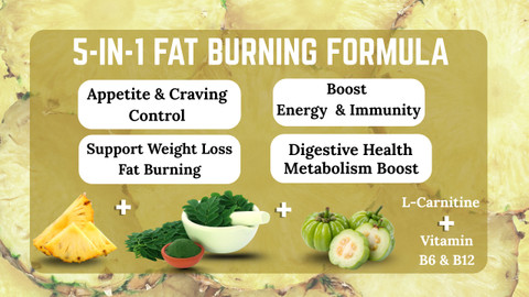 does l carnitine help lose belly fat NUTRASIUM Daily Fat Burner, L-Carnitine, ACV, Garcinia Combogia | Convert  Fat Into Energy Price in India - Buy NUTRASIUM Daily Fat Burner, L-Carnitine,  ACV, Garcinia Combogia