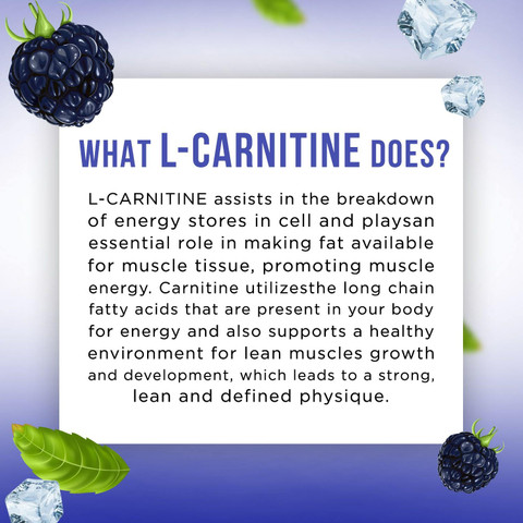 acetyl l carnitine effects on the brain L-Carnitine Liquid – 1500 mg for Energy & Muscle Support – Carbamide Forte