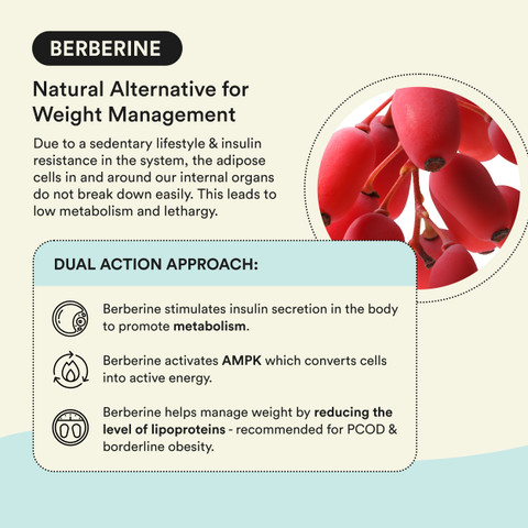 Bloom Berberine + L-Carnitine Effervescent Tablet | Complete Weight  Management Price in India - Buy Bloom Berberine + L-Carnitine Effervescent  Tablet | Complete Weight Management online at Flipkart.com