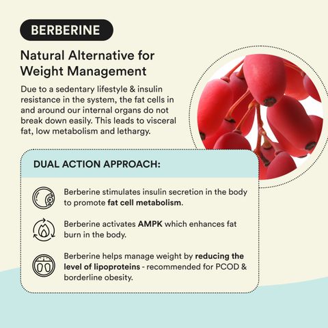 berberine vs l-carnitine for weight loss Bloom Berberine + L-Carnitine Effervescent Tablet| Complete Weight  Management Price in India