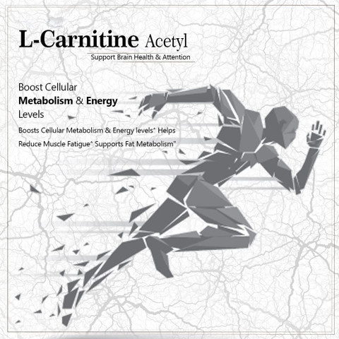 acetyl l carnitine hydrochloride msds 3R)-3-Hydroxyoctadecanoyl