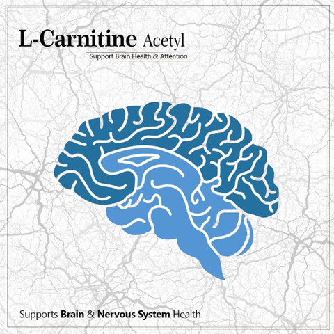 l carnitine for brain health Acetyl L Carnitine Capsules for Brain Health & Athletic Performance main image 0
