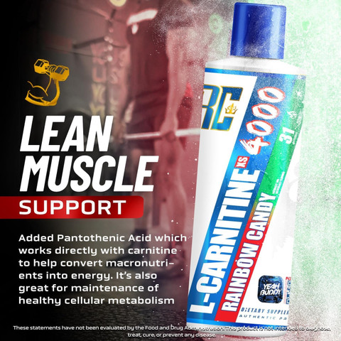l carnitine 400 mg Spring Valley - Brandclub - Spring Valley