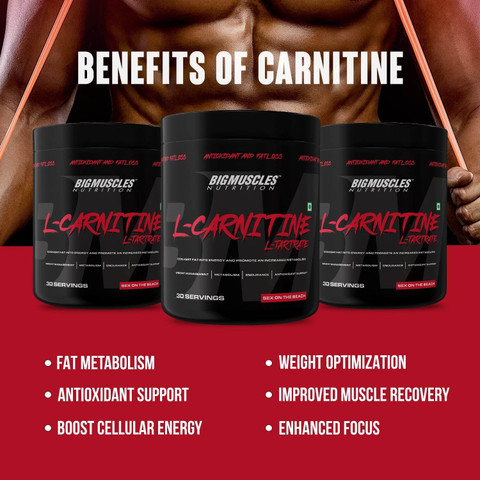 l carnitine sex benefits Glycine Propionyl L-Carnitine & ED : Benefits, Effects & Uses BIGMUSCLES NUTRITION L-Carnitine L-Tartrate Powder