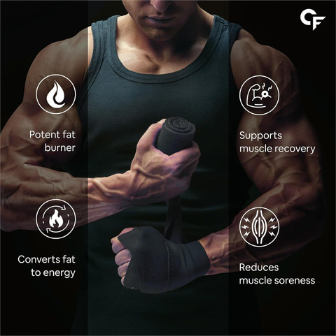 l carnitine dosage for cats CARBAMIDE FORTE L-Carnitine Liquid 1500mg with L Carnitine & L-Tartrate |  Fat Loss Supplement Price in India - Buy CARBAMIDE FORTE L-Carnitine Liquid  1500mg with L Carnitine & L-Tartrate