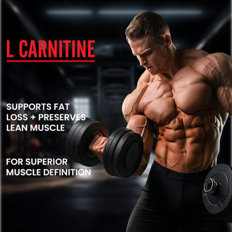 AMERICAN FIT LABS L-Carnitine with Vitamin B5 3500mg , 30 Servings, Mix  Fruit Flavour Price in India - Buy AMERICAN FIT LABS L-Carnitine with  Vitamin B5 3500mg , 30 Servings, Mix Fruit