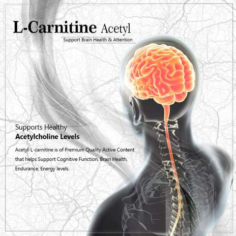 la l carnitina se toma antes o despues del ejercicio Beneficios de tomar L-Carnitina