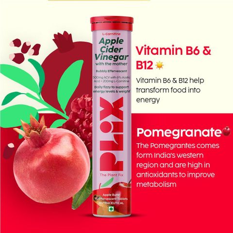 The Plant Fix Plix L-Carnitine ACV Effervescent Tablets for Weight Loss and  Fat Burn with Cinnamon Price in India