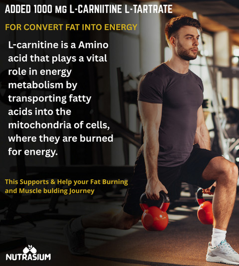 l-carnitine ulcerative colitis L-Carnitine | Metabolic Health Supplement