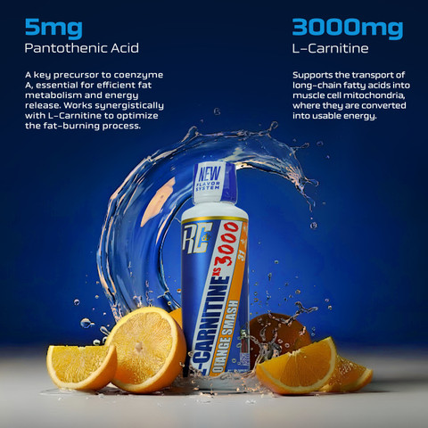 l carnitine injection legal L-Carnitine 100mg/ml 100ml