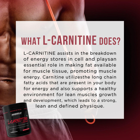 l carnitine for sex Carnitine versus androgen administration in the treatment of sexual  dysfunction, depressed mood, and fatigue associated with male aging