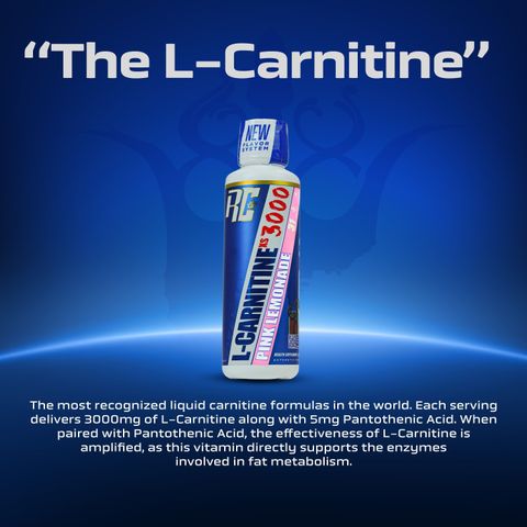 ronnie coleman l carnitine xs 3000 Ronnie Coleman Signature Series L-Carnitine XS 3000mg Liquid, Pink Lemonade  Price in India