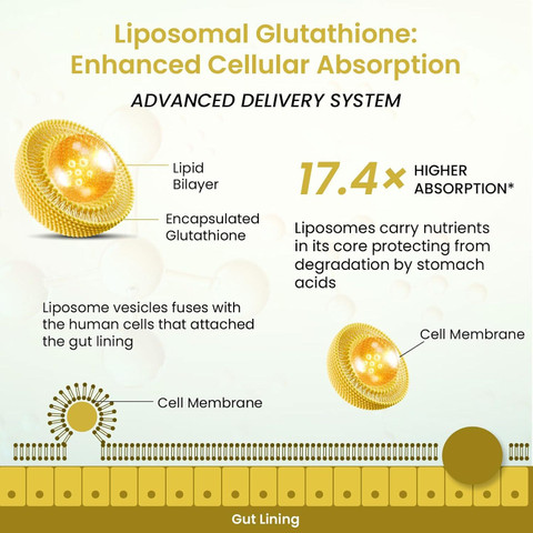 encapsulated glutathione LivOn Laboratories Lypo-Spheric it protects against free radical damage and supports proper cellular function Learn why Royale Toning Liposomal