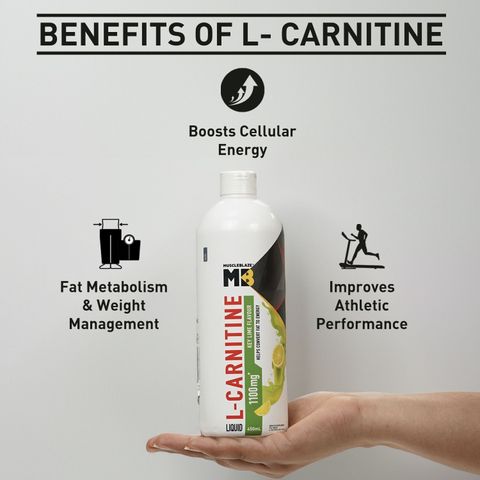 MUSCLEBLAZE Liquid L-Carnitine 1100 mg, Converts Fat into Energy Price in  India