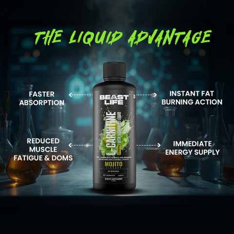 BeastLife L-Carnitine Liquid 3300mg- Fat to Energy | Vitamin B5 | Mojito  Price in India - Buy BeastLife L-Carnitine Liquid 3300mg- Fat to Energy |  Vitamin B5