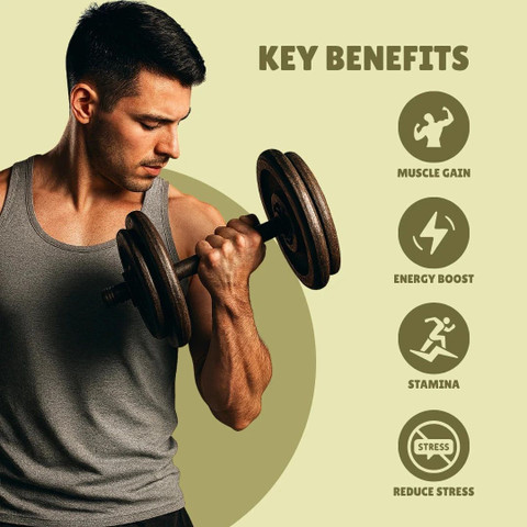 como funciona la l carnitina en el cuerpo Male Fertility Supplements – Boost Sperm Health & Motility – Bird&Be main image 0