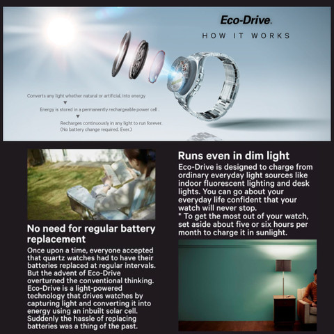 CITIZEN Eco Drive Analog Watch For Women