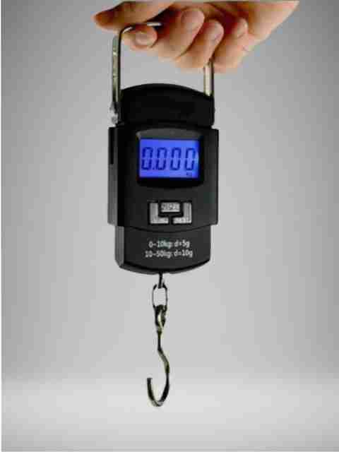 Scale With Led Scren stupefying 50 kg Hook Type Digital Led Screen Portable Luggage Weighing ...