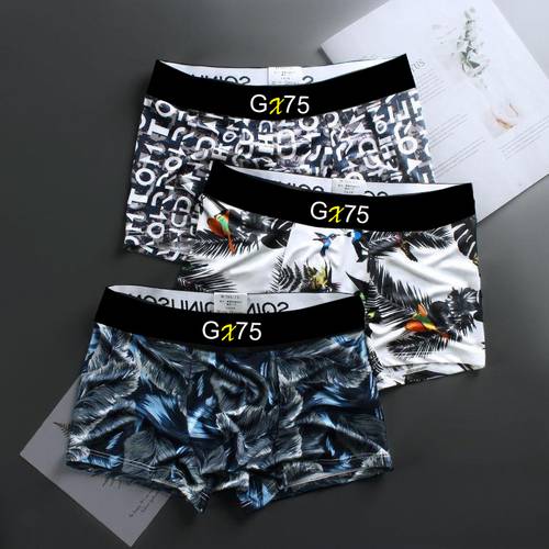 Gx75 Pack of 3 Printed Men Trunk