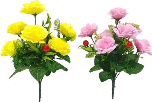 Image Placeholder