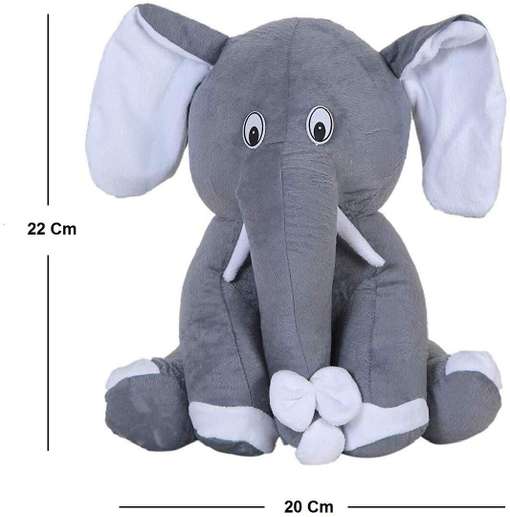 Image Placeholder